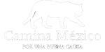 Camina México